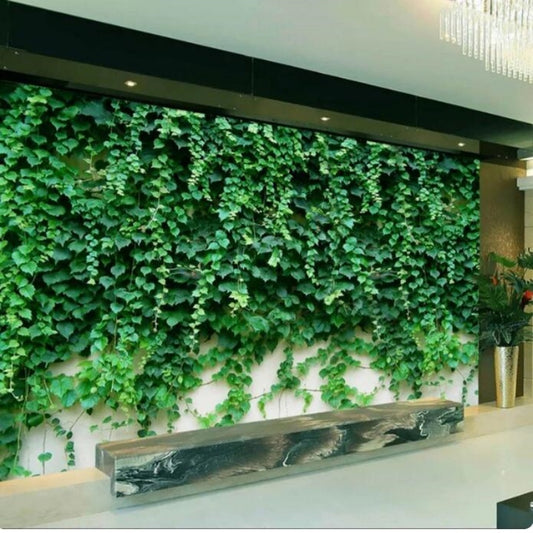 Boston Ivy Green Plant Wallpaper Wall Mural Home Decor