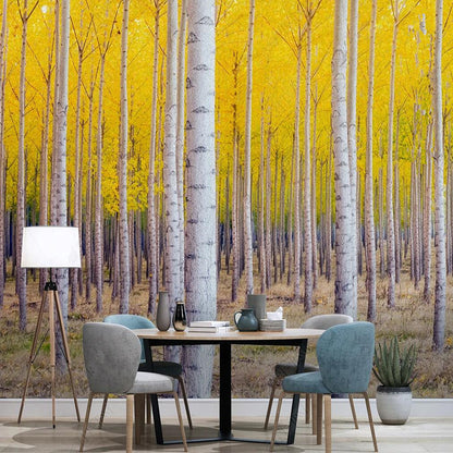 Autumn Yellow Birch Trees Forest Wallpaper Wall Mural Wall Covering