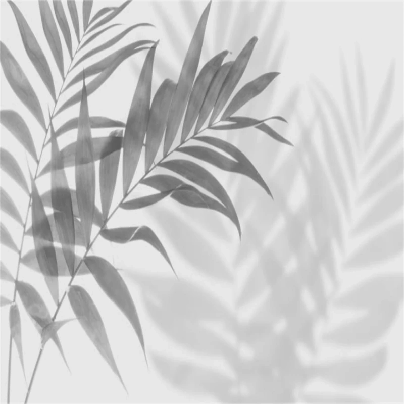 Southeast Asia Grey Palm Leaves  Wallpaper Wall Mural Home Decor